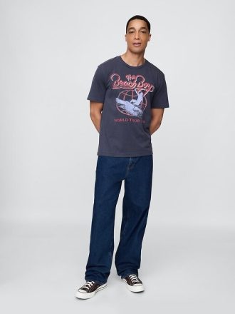 Camiseta gráfica dos Beach Boys