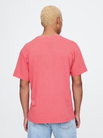 Camiseta gráfica NFL San Francisco 49ers