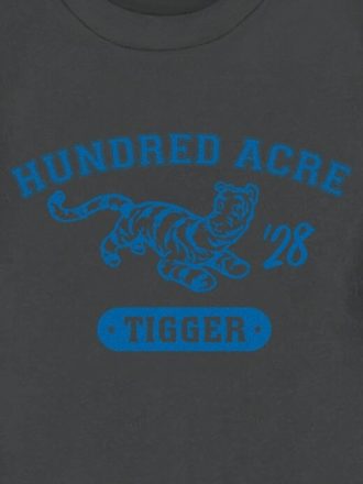 Camiseta infantil com estampa do Ursinho Pooh e do Tigrão dos Cem Acres