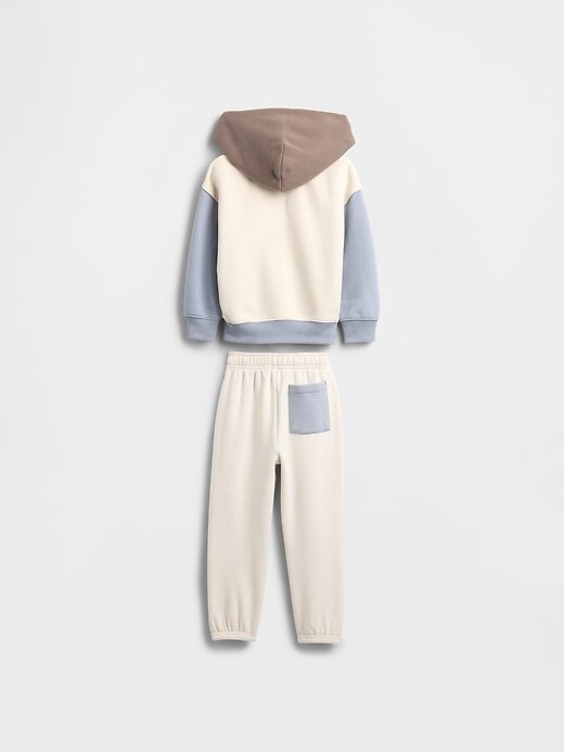 Conjunto de moletom com capuz VintageSoft Colorblock para bebês e crianças pequenas
