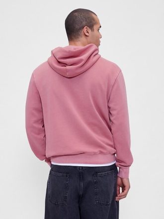 Moletom com capuz vintagesoft com logotipo em arco adulto