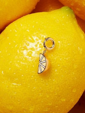 Projeto Pequenas Palavras Charme Projeto Pequenas Palavras Charme