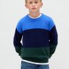 Suéter infantil CashSoft Relaxed Crewneck Suéter infantil CashSoft Relaxed Crewneck